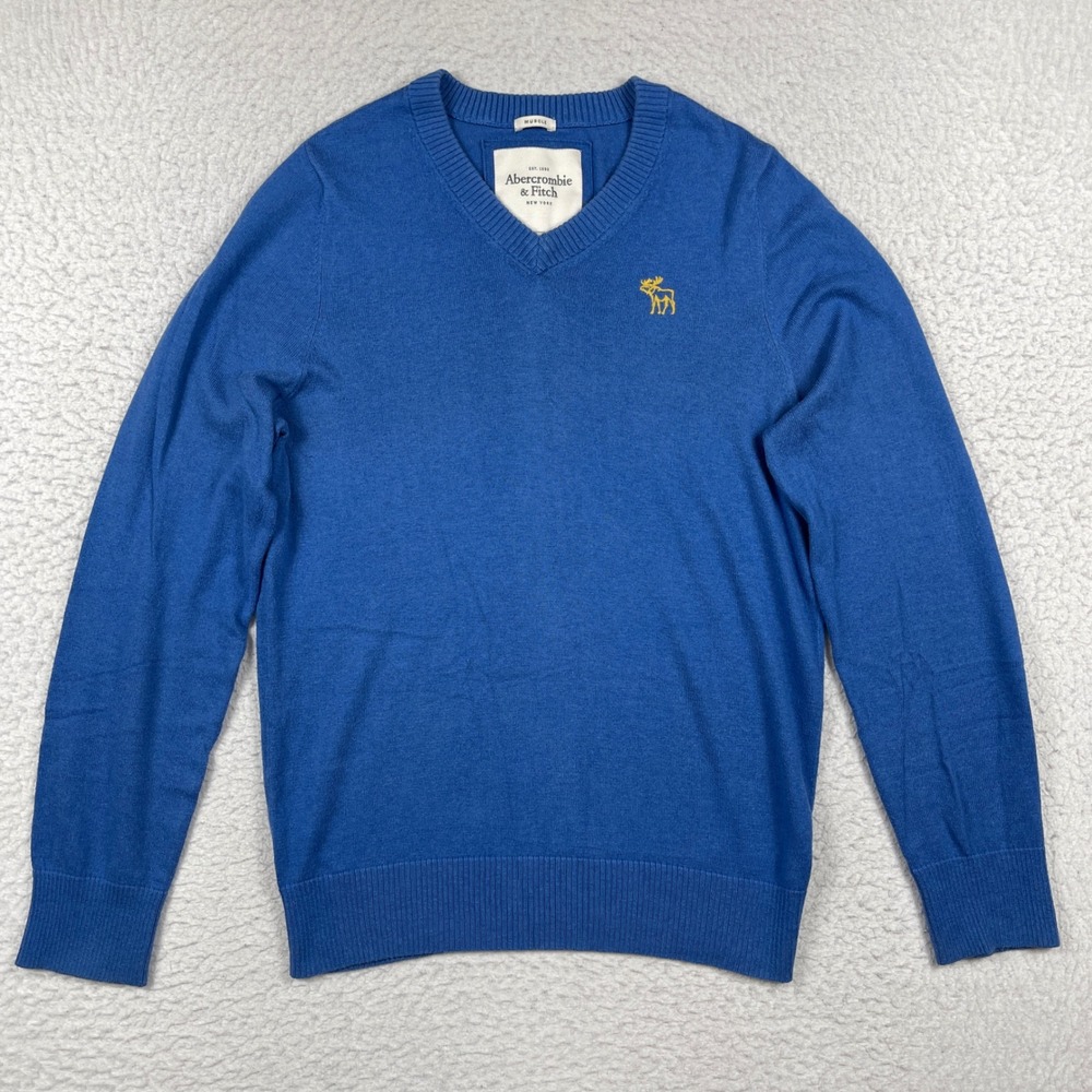 Abercrombie & Fitch Sweater‎ Mens Medium Blue Muscle Fit V-Neck Cotton Cashmere